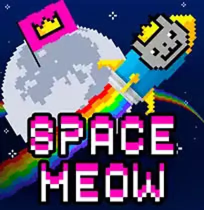 Space Meow