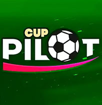 Pilot Cup